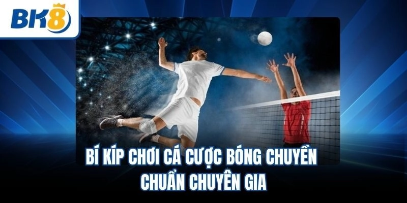 Bí kíp chơi cá cược bóng chuyền chuẩn chuyên gia