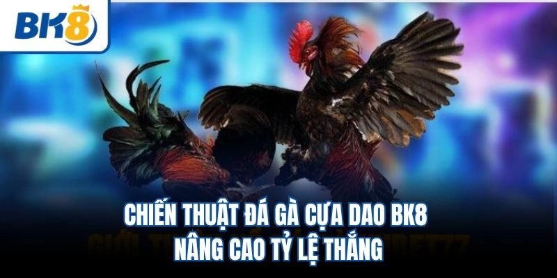 Chiến thuật đá gà cựa dao BK8 nâng cao tỷ lệ thắng