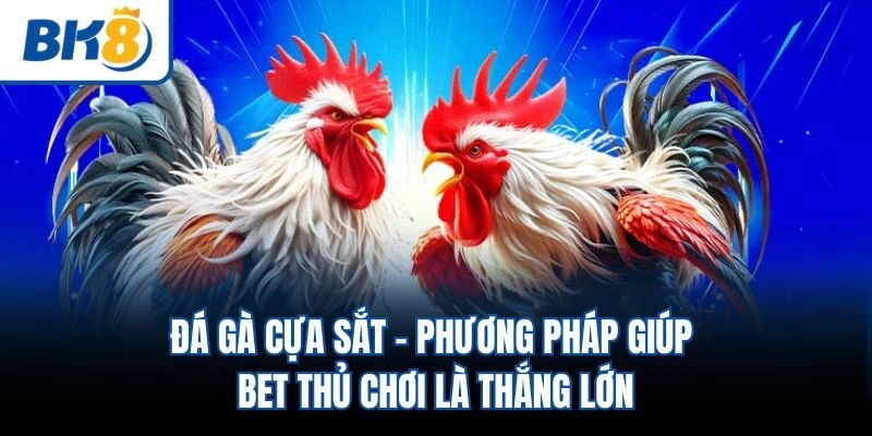 Đá Gà Cựa Sắt - Phương Pháp Giúp Bet Thủ Chơi Là Thắng Lớn