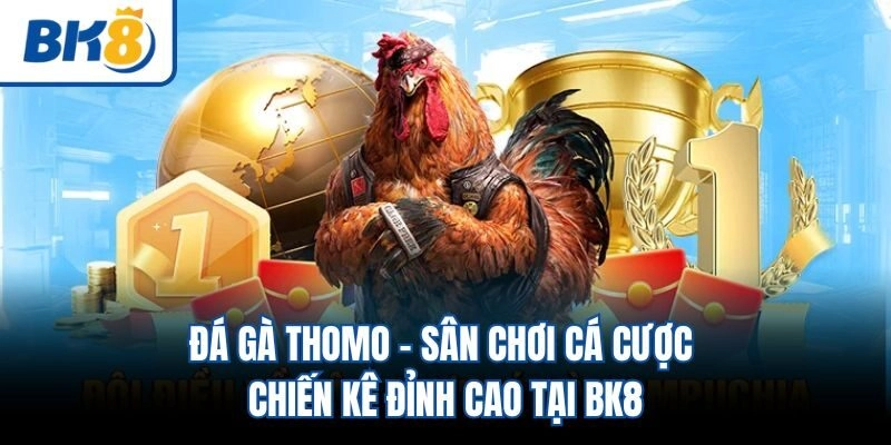 Đá Gà Thomo - Sân Chơi Cá Cược Chiến Kê Đỉnh Cao Tại BK8