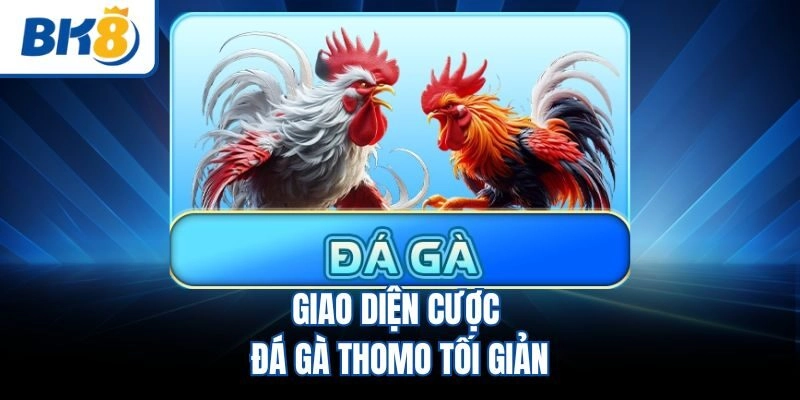 Giao diện cược đá gà Thomo tối giản