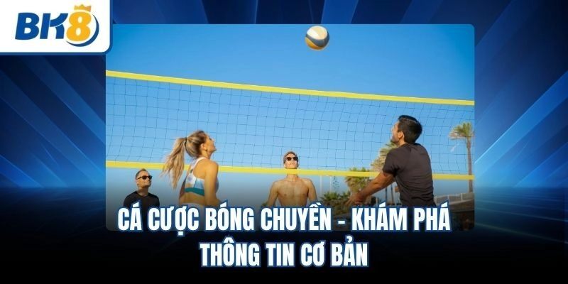Cá cược bóng chuyền - Khám phá thông tin cơ bản
