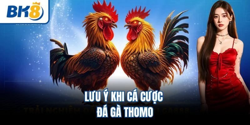 Lưu ý khi cá cược đá gà Thomo