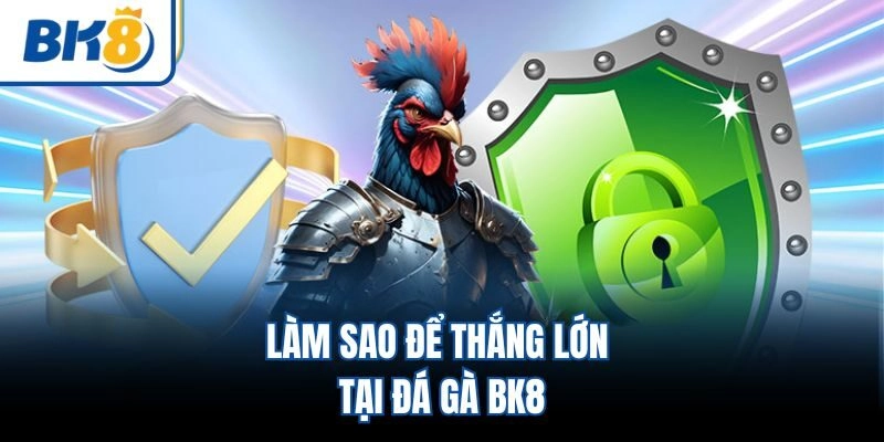 Làm sao để thắng lớn tại đá gà BK8