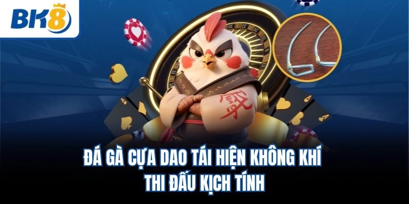 Đá gà cựa dao tái hiện không khí thi đấu kịch tính