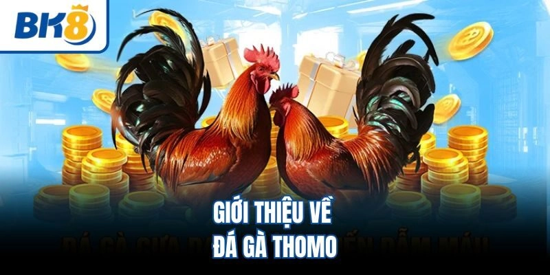 Giới thiệu về đá gà Thomo
